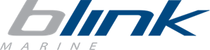 Logo blink