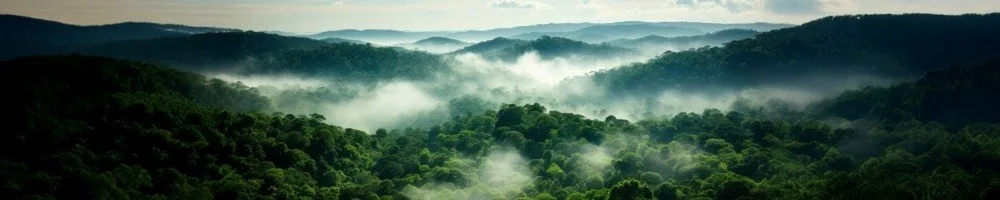 Environmental responsibility